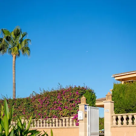 Palmera Villa *