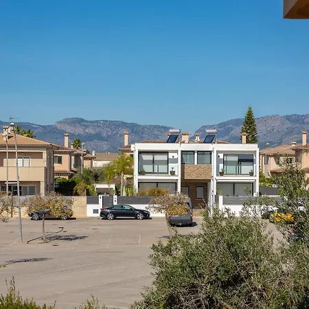 Palmera Palma de Mallorca